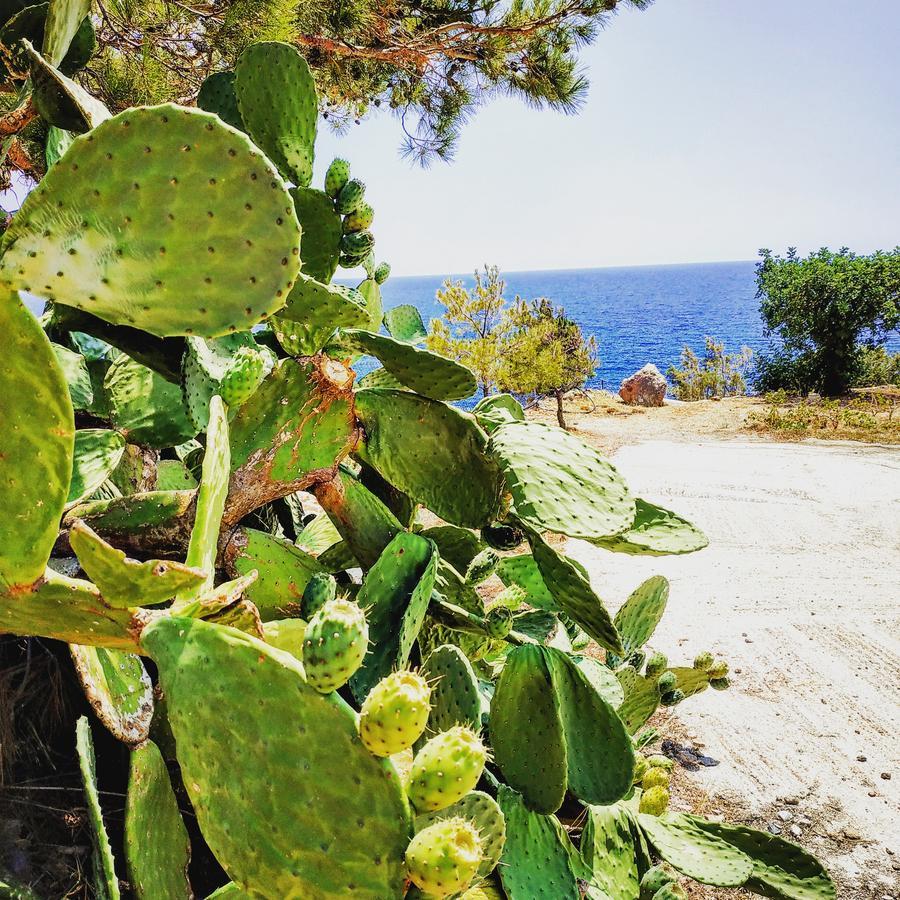 Euphoria - South Crete *